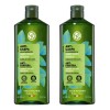 Yves Rocher Shampoo Anticaspa 2 Pzas