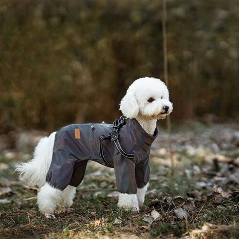 PawPawer Dog Raincoat with Reflective String and Elastic Cuffs Waterproof