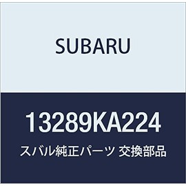 SUBARU (subaru) Genuine Parts Hose Assembly Air buri-za Engine A Number 13289ka224