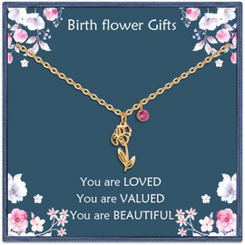Nupdot February Birth Flower Necklaces Birthday Gifts for Women| 14K Gold Plated Birth Month Floral Iris Pendant Birthstone Necklace Jewelry Gifts for Mom Friends