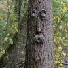 3D Resin Old Man Tree Face Yard Art Decorations, Funny