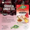 Dalgety Sorrel/Hibiscus & Ginger Herbal Infusion 6x45g Cartons (6 Pack)