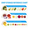 Reusable Fruit and Vegetable Storage Containers, Set of 4, Transparent,