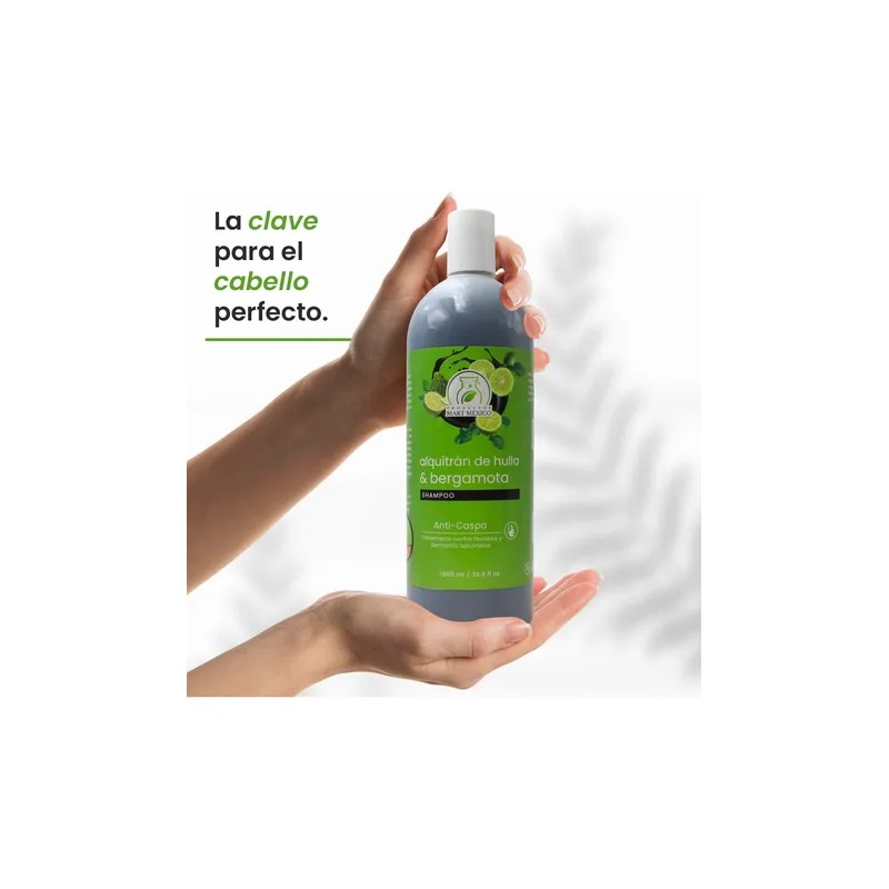 Shampoo Alquitrán De Hulla & Bergamota Control Caspa (1 L)