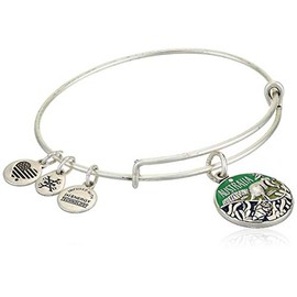 Alex And Ani Replenishment 19 Women's Australia Charm Bangle, Rafaelian Silver