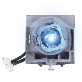 RLC-108 Replacement Lamp Bulb with Housing Fits for VIEWSONIC PA503S PA503X PA500S PA500X PA502ES PA502XE PA503SP PA503XP PG603X PS501X PS600X VS16909 VS16905 Projector Lamp (RLC-108 Module Lamp)