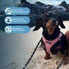 Voyager Step-in Air All Weather Mesh Harness and Reflective Dog