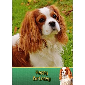 King Charles Birthday Card