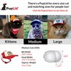 PupLid Trucker Hats for Cats (Medium Cats) Premium Stylish Sun