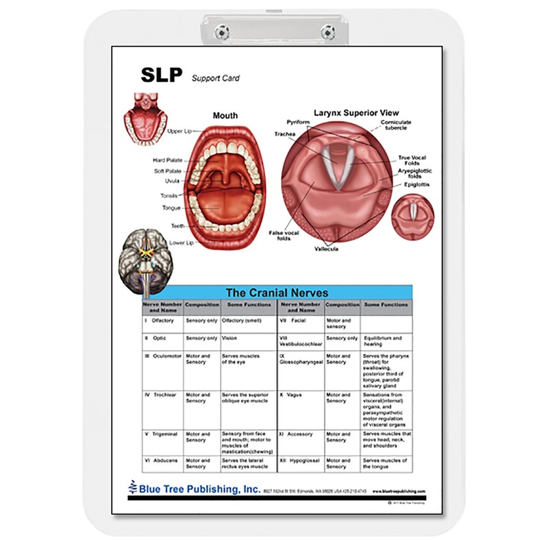 SLP Insert clipboard