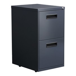 Alera PA54-2820CH Two-Drawer Metal Pedestal File 16w x 19-1/2d x 28-1/2h Charcoal, Charcoal