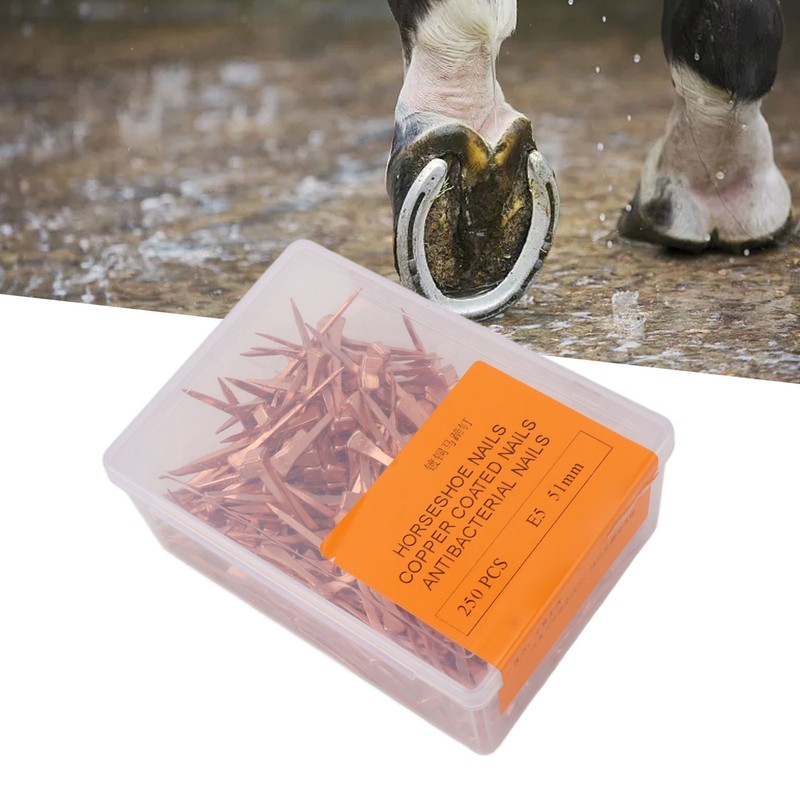 250Pcs Horseshoe Nails Copper Plated Rustproof Equestrian Riding Equipment Pet