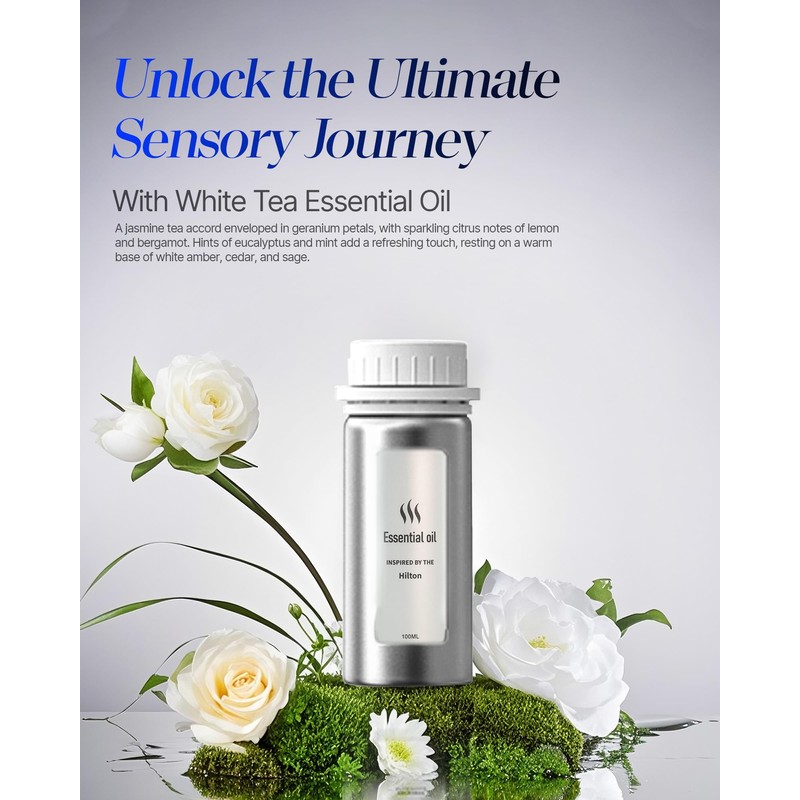 Diffuser for Home Large Room,Waterless Essential Oil Diffuser with 2000