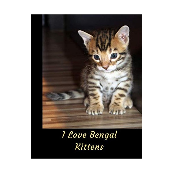 I Love Bengal Kittens: 2020 Weekly & Monthly Planner Large