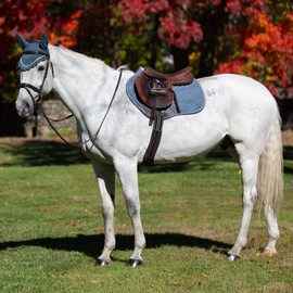 Equinavia Nord Ear Net - Mirage Blue/Gray - Horse