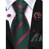 Dubulle Zipper Ties for Men Mens Paisley Striped Pretied Neckties