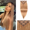 ELIHAIR Seamless Clip In Hair Extensions for Women Human Hair