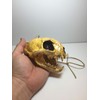 Aztec Death Whistle - Apex Predator