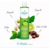 Shampoo De Bergamota Tonico Gomita Bio Colagno Cabello Shelo