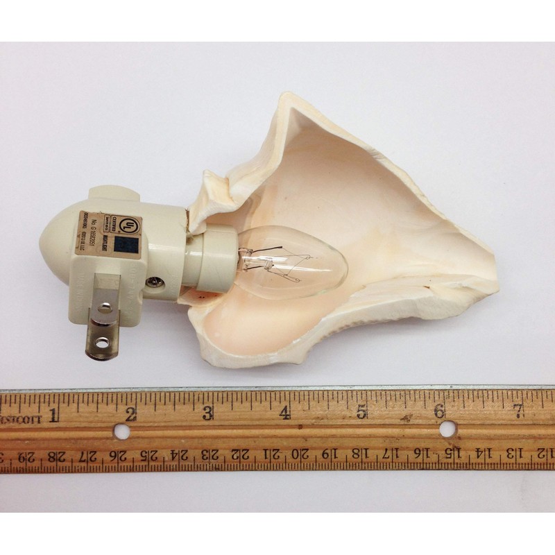 PEPPERLONELY Vole Sea Shell Night Light Nautical Natural Seashell Beach