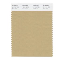 PANTONE Smart 15-1119X Color Swatch Card, Taos Taupe