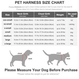 Fida Comfy Dog Harness with Leash, Soft Puppy Vest Escape Proof, Breathable Lightweight Soft Mesh, Adjustable Reflective Step-in Harness for Small Pet Walking (S, Blue)