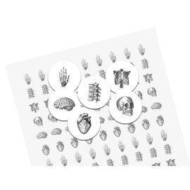 Anatomy 3/4 inch or .75 inch round Candy Labels Stickers skull brain anatomical heart party favors