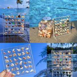 PACIOCEAN Clear Mini Seashell Wall Storage Display Organizer Box Stackable, Multifunctional Clear Jewelry Display Organizer Case,Acrylic Magnetic Seashell Display Box(36/64/100 Grids ) ﻿﻿﻿