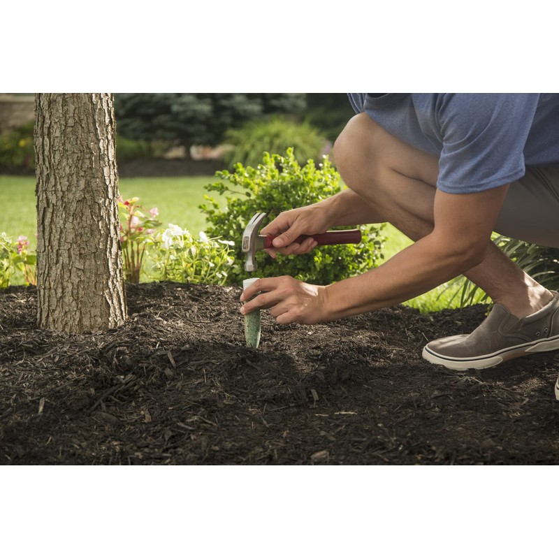 Miracle-Gro Fertilizer Spikes for Trees and Shrubs, 12 Pack (Not