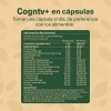 Vitalbotanics Nootropico Con Melena De Leon Con 60 Caps