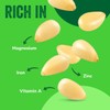 Raw Pine Nuts 48oz (3 lb) | Whole and Natural