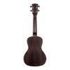 Kala, 4-String Ukulele, Natural, Concert (KA-EBY-C)