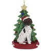 German Shorthaired Pointer With Resin Christmas Tree Ornament For Personalization