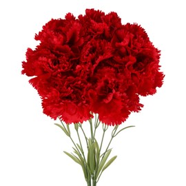 IPOPU Artificial Red Carnations Flowers 8pcs Silk Cartions Red Flowers with Long Stem for Tall Vase Red Fake Carnations for Wedding Bouquets Home Table Centerpieces Floral Arrangements (Red)