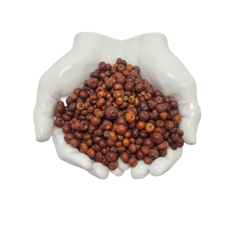 HealinGifts Uva-ursi Pinguica Bearberry Kinnikinnick dried fruit 4oz