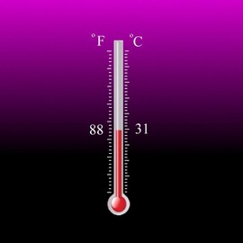 Temperature Activated Heat Reactive Color Changing Thermochromic Fabric Paint 6 oz, BLACK changing to PINK at 88⁰F (31⁰C)