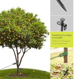 Heavy Duty Tree Stake Kits, 11.8 Inch Steel Tree Stakes and Supports for Young Tree Anti Strong Wind, Leaning Tree Anchor Straightening Kit with 6 PCS Steel Stakes, 13.12 Feet Rope and Tree Straps