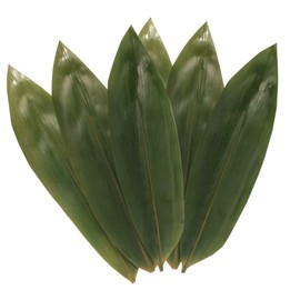 BambooMN Bamboo Leaves - Vacuum Packed - 12.25 x 3.5 Inches - 100 pack