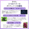 Fukufuku Honpo Platinum Eye Care Supplement, 13 Selected Types, Bilberry,