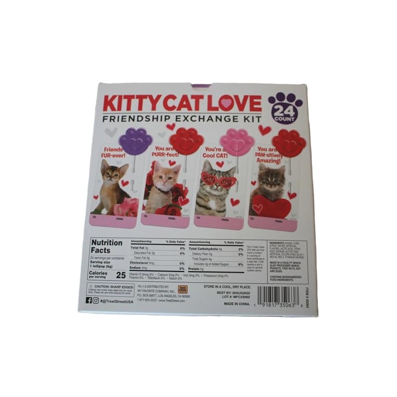 Kitty Cat Love Friendship Exchange Kit with Lollipops - 24