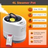 COSVALVE Portable Steam Sauna Box with Red Light for Home
