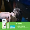 TouchUpDirect NH-830M Lunar Silver Metallic Compatible with Honda Exact Match