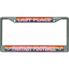 fantasy football last place pink rainbow chrome license plate frame usa made