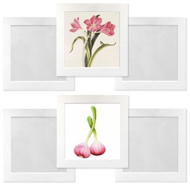 YIYINOE Set of 6 20 x 20 cm Square Picture Frame Set, Cardboard Picture Frame with Protection Plastic Membrane, Wall Mounted Photo Gallery Display for Collage, Photos, Pictures, Family Photo Frame,