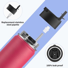 Koodee 32 oz Water Bottle with Wide Handle Straw Lid, Vacuum Insulated 18/8 Stainless Steel Wide Mouth Flask (Canyon Red)