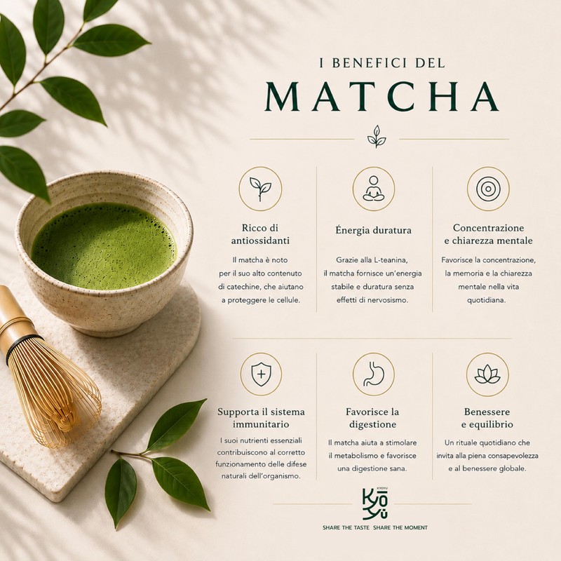 Matcha Giapponese Grado Cerimoniale – Tencha coltivato a Yame (Kyushu)
