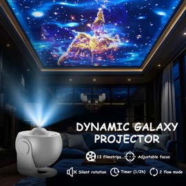 Galaxy Projector Light, 13 in 1 LED Planetarium Star Projector with 12 Film Discs, Starry Sky Projector Lamp with Timer, 360° Rotating Night Light Projector for Bedroom Living Room (Gray)
