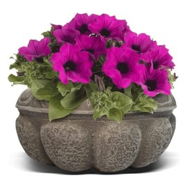 Elly Décor Plastic Cantera Planter 10x5 in. Pot Cantera Design Decorative for Indoor and Outdoors Plants Round Flower Pot White cantera