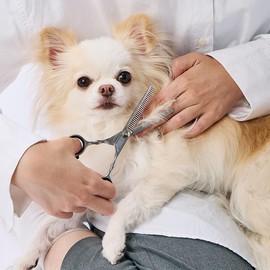 Petio FIXCARE Soft Blade Scissors for Dogs and Cats