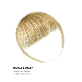 Yamel Bangs Hair Clip in Bangs Remy Human Hair Extensions Flat Face Fringe Bangs Human Hair Pieces for Women